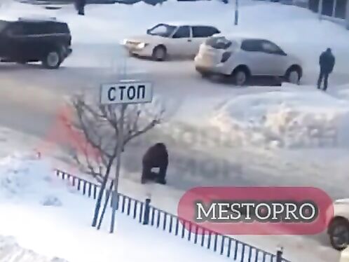 Survival Of The Fittest