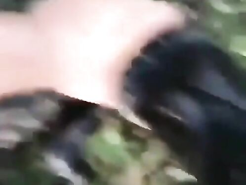 Man Throws Crocodile Into Lake