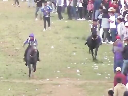 Man Tries To Sabotage Horse Race And Gets In Trouble