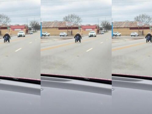 Uncertain Life Decisions In A Wheelchair