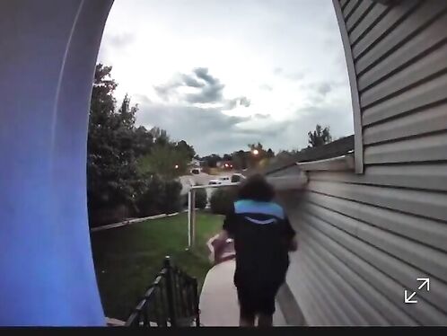 Amazon Delivery Driver In Coma