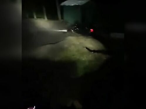 Speeding Cyclists Need To Call An Ambulance Immediately