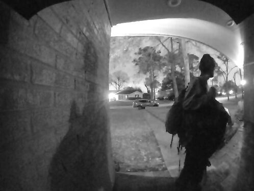 After 10 Minutes Of Trying To Break In