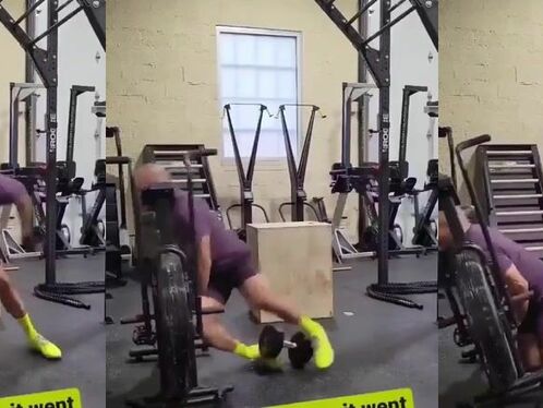 Willy Wolf Trained To Catch Roadrunners