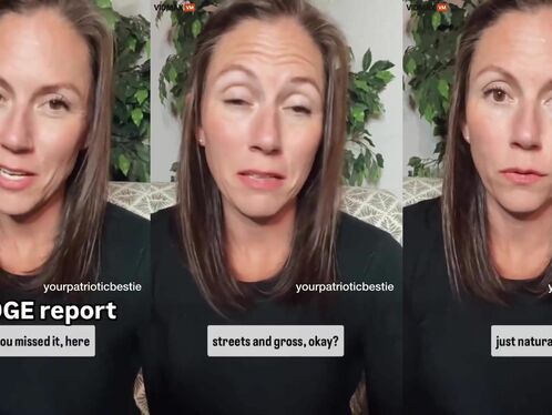 An Investigation Into The Effects Of Cocaine On Beagle Dogs And Hamsters