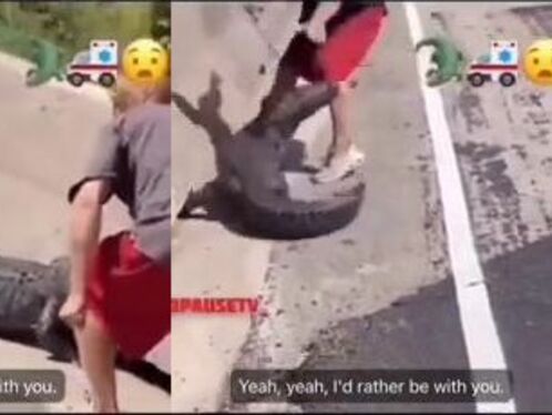 Street Fight: Man Vs. Crocodile