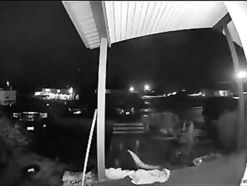 I Must Love Black Ice