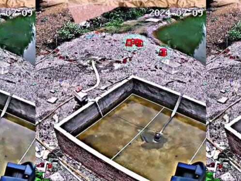 Fish Escape From The Matrix