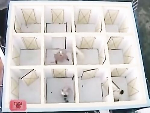 This Japanese Game Show