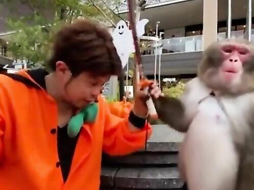 Okay, Man. Is This What You Wanted?