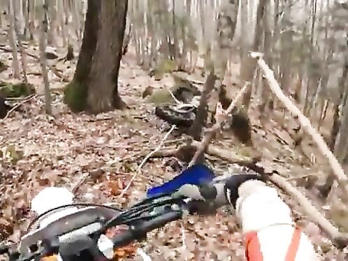 If It's Brown, You Can Relax Or Start Your Engine