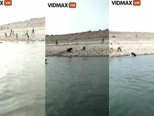 Sloth Bear Attacks Indians