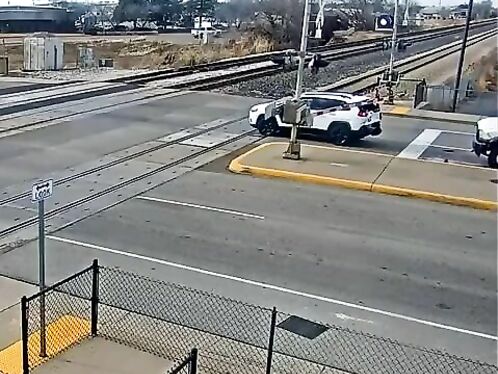 Why Are Some People So Stupid?