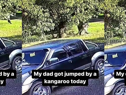 Weekdays In Australia