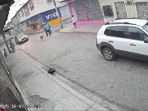 Good Dog Prevents Robbery