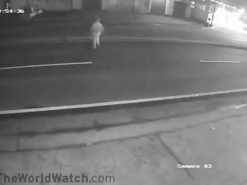 Man Falls While Crossing The Road