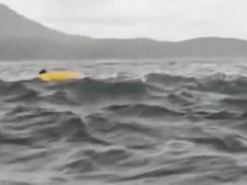 Wildlife Video Shows A Kayaker Being Eaten And Spit Out By A Humpback Whale