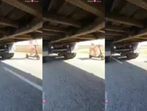 Absolutely Not, Why Would You Do That?