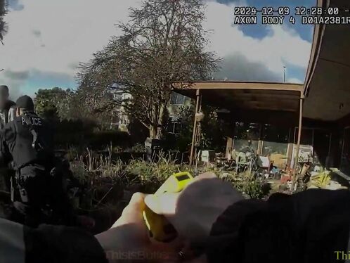 A 67-year-old Man Attempted To Stab A Police Officer, Who Then Used A Taser To Stun Him.