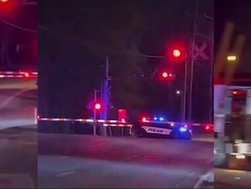 Go Away Bitch, I'm The Law Now, I'm A Fucking Train