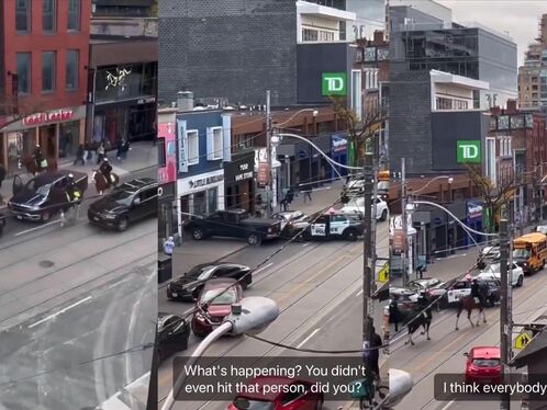 We Live In Wild Times