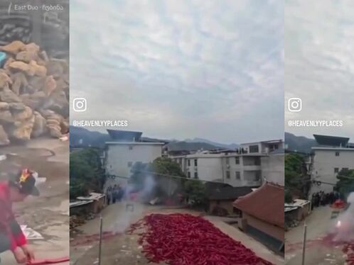 Everyone Present Thought It Was A Bad Idea.