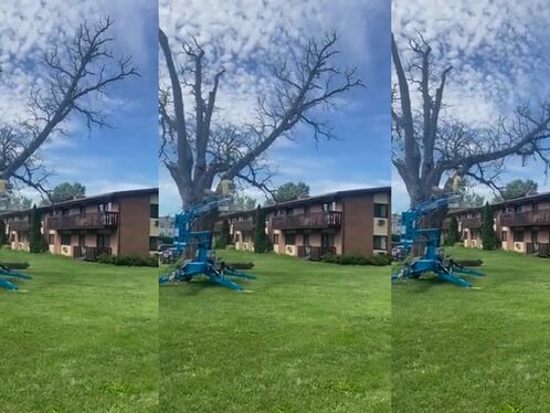 I Thought It Was Absolutely Certain