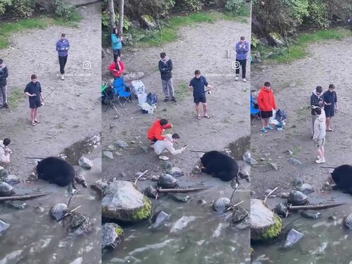 Play With The Bear While It Eats