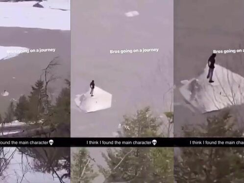 Brothers Go Traveling