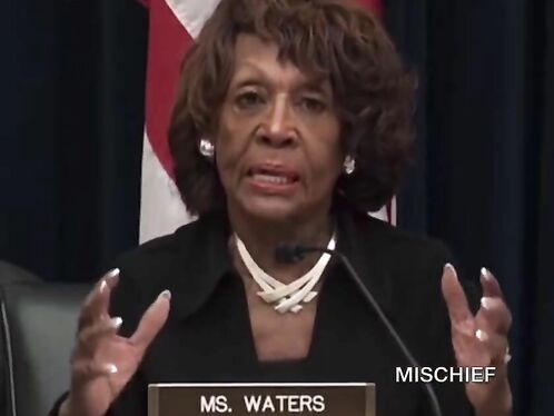 Soft-spoken Maxine Waters Accidentally Lets The Truth Slip