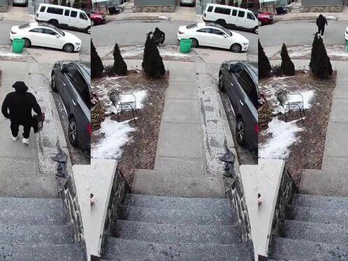 There Was A Whole Sidewalk, But He Chose Ice Cream. What Could Be Wrong With That?