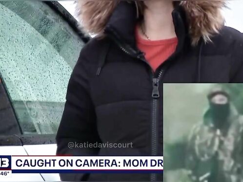 A Left-handed Man Driving A Tesla Chased A Woman And Stopped Her