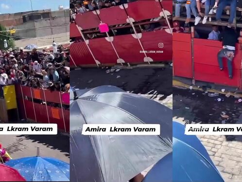 Bull Leaves Guy Needing Serious Anal Surgery - Video - VidMa