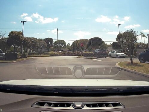 A Wild Jetta Appeared