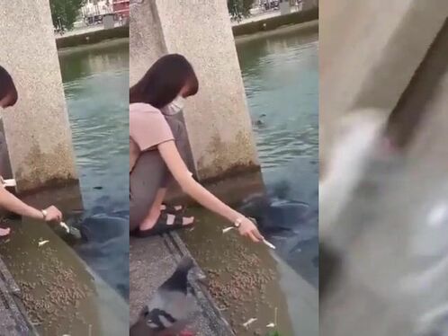 It Is Said That In Thailand