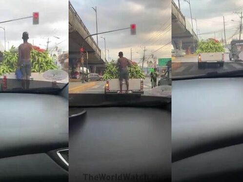 Banana Thieves Plan Their Heist At The Perfect Time