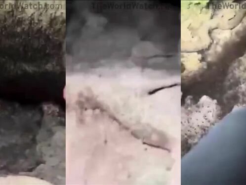 Arachnophobia: This Is The Only Place Where You Can Sleep