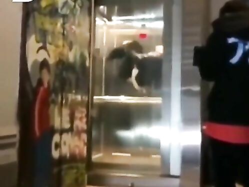 Do A Backflip In The Elevator.