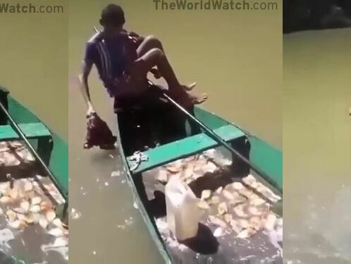 This Is How To Fish For Piranhas. It's Very Simple, Right?