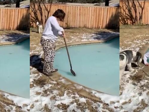 Stepping Onto The Frozen Pool