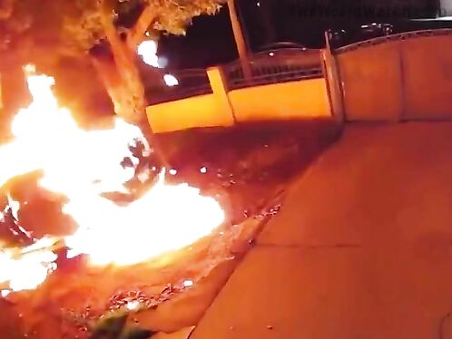 This Is Musk's Karma: Tesla Vandals Must Jump Over Burning Fences.