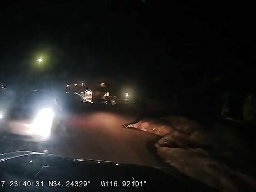 Warning: Audio Volume Is Loud (contains Vulgar Language) â€” OC Almost Got Hit Head-on By A Tesla.