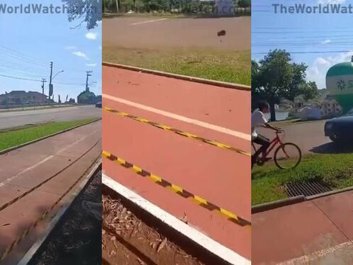 A Car That Does Not Meet Road Safety Standards Killed A Cyclist.