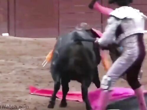 Newly Recruited Bullfighters Were Cruelly Given Enemas Using Bull Horns, All The Way Up To Their Buttocks.