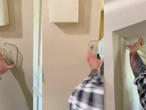 The Man Attempts To Safely Capture The Spider.