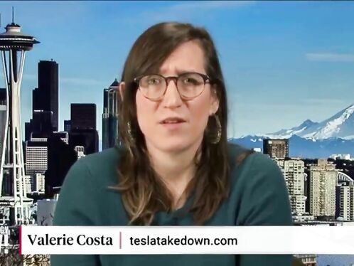 The Organizer Of The Tesla Protest Claimed She Supported Vandalism.