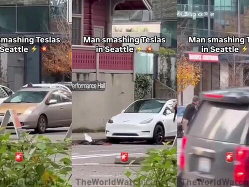 Man Vandalizes Tesla â€“ Second Victim Tries To Comfort Him