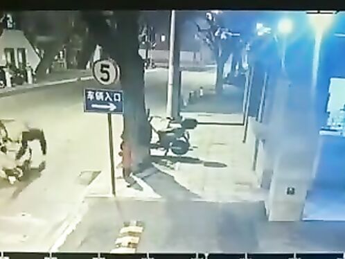 The Cat Interrupted The Cyclist.