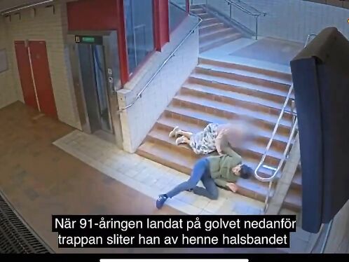 Syrian Immigrants Pushed A 91-year-old Woman Down A Flight Of Stairs In An Attempt To Rob Her.