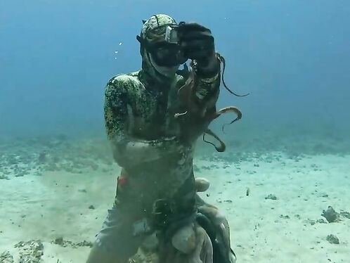I Saw Your Video Of Catching An Octopus With A Harpoon, And I Also Want To Upload A Video Of Catching An Escaped Octopus With A Harpoon.